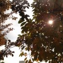 예일여자고등학교 이미지