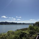 참새의 정원 | [여행][2025.09.21] 경기 남양주시 / 마음정원 / 걷기 좋은 날, 걸으면서 느껴보는 생태공원