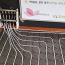 이지테라피