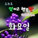 9월.7일 화요일 간추린 뉴스 이미지