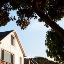 꿈에그린 민박 이미지