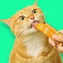 일라이메드 이미지