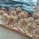 진교농협주유소 이미지