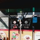 둥지짬뽕 이미지