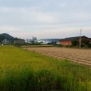 삼박농장 이미지