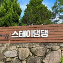 스테이 댕댕 이미지