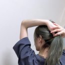 젤스타 이미지