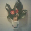 뉴서울민박 이미지