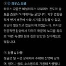 귤종류 이미지
