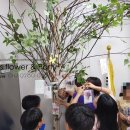 꿈이 자라는 나무 이미지