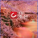 갱년기 건강 라인댄스 이미지