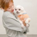 스튜디오피네