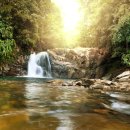 어반한의원 이미지