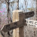 돈지마을 이미지