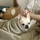 다리편한외과의원 이미지