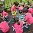 김해유치원 이미지