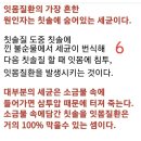 일억원 보다 값진글(음악방 번개 사진 포함) 이미지