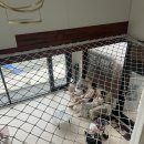 건행식당 이미지