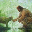 영신목장 이미지