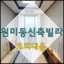 뜨라내움 이미지