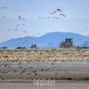 금강하구둑관광지 이미지