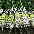 겨울철 산삼 부럽지않은 무의 엄청난 효능 9가지 이미지