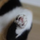 나린그루밍 이미지