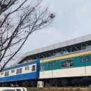 왕송스낵 네이버블로그