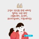 분포세차장 이미지