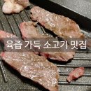 천우한우암소 이미지