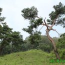 이일 장군 묘 이미지