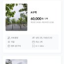 월악아지트캠핑장 이미지