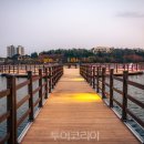 영랑호수윗길 이미지