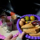 일출로4 | 발리 4일차 바투르산 일출 지프 투어 블랙라바 킨타마니스타벅스 솔직 후기