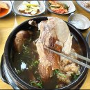 심마니네 약초백숙 이미지