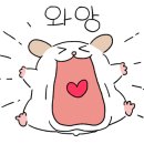러블린아틀리에 이미지