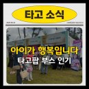 아이와함께하는k-pop댄스교실 | 아이랑 갈만한곳, 잠실 &#39;아이가 행복입니다 시즌8&#39; K-POP 댄스체험 타고팝 인기 폭발!