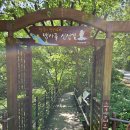 지리산 뱀사골 병소 - 뱀사골 터미널. 6.6 km. 3시간. 이미지