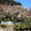 일운초등학교구조라분교장 이미지