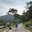 풍수원민박 이미지