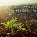 현대팜 | 유기농으로 만든 개똥쑥 '약초밭아낙네'에서 믿고 먹어요