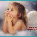 알씨 이미지