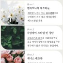 메리퓨어