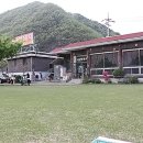 금남멧돼지 이미지