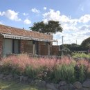 누코지스테이 이미지