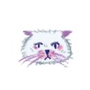 요가수업 이미지