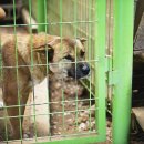 금골농장 이미지