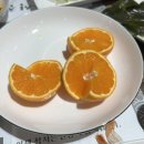 임헤어(Lim Hair) 이미지