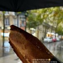 트라디시옹 이미지
