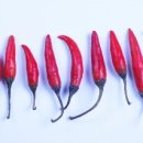 생명한의원 이미지